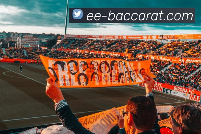 百家乐官网平台生态图