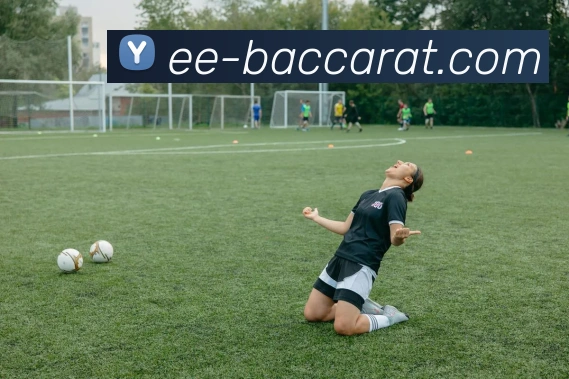 百家乐官网全站App